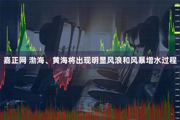 嘉正网 渤海、黄海将出现明显风浪和风暴增水过程